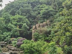 -桃花岭景区