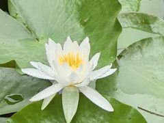 -杭州植物园