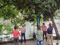 -荔湾湖公园