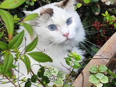 -KUYE·裤爺炼金室·银饰DIY(大运河店)