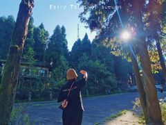 -武陵山森林公园