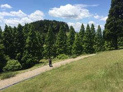-神户市立六甲山牧场
