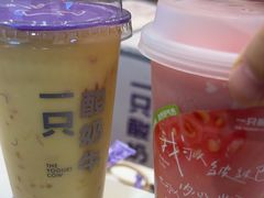 -一只酸奶牛(双流万达广场店)