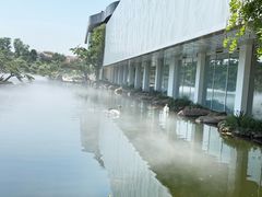 -罗红摄影艺术馆