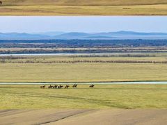 -呼伦贝尔大草原巴尔虎蒙古部落民俗旅游度假景区