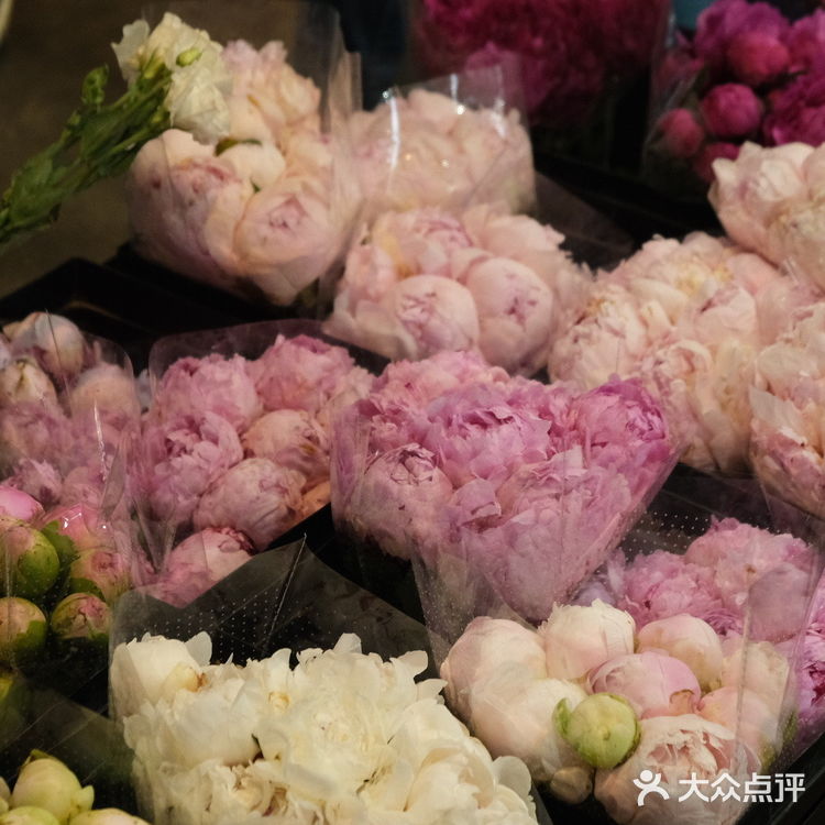 超好逛‼️成都最大的花市🌸