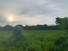 -杭州城北体育公园