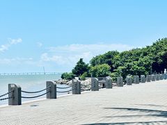 -深圳湾公园(南山区)