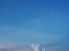 -大湾区中央湿地公园
