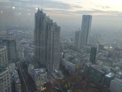 -东京都厅舍