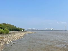-上海吴淞炮台湾国家湿地公园