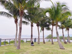 -深圳湾公园(南山区)