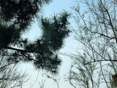 -北戴河东海水浴场