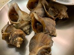 -白仁仔· 活烤海鲜 宵夜(豫园店)