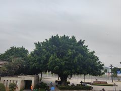 -石炮台公园