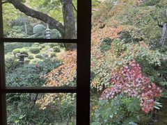 -三千院