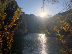 -青峰峡国家森林公园