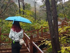 -大岭沟猕猴桃谷风景区