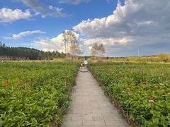 -塞罕坝国家级自然保护区