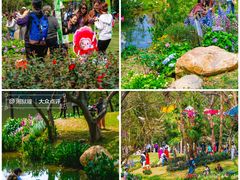 -人民公园(罗湖区)