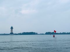 -溱湖国家湿地公园