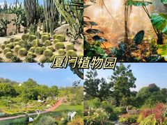 -鼓浪屿