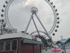 -海合安武汉极地海洋公园