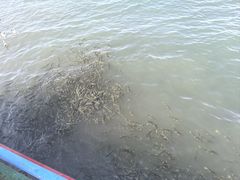 -青海湖二郎剑景区