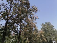 -国家图书馆·古籍馆