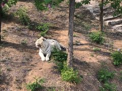 -石家庄市动物园