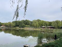 -北坞公园