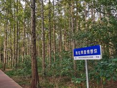 -同里国家湿地公园