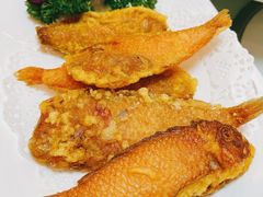 -潮人姐妹轩(海宁路店)