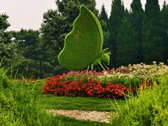 -石家庄市植物园