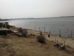 景点-丁香湖公园