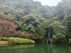 -龙井村