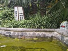 -杭州第一世界大酒店·云曼温泉