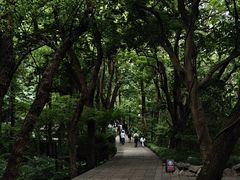 -吴山景区