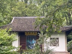 -虎跑公园