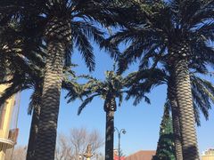 -仁爱团泊湖温泉中心