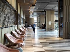 -芽庄喜来登水疗酒店