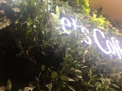 -Peet's Coffee皮爷咖啡(德基店)