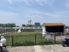 -上海山野camping·户外天幕烧烤·团建拓展营地