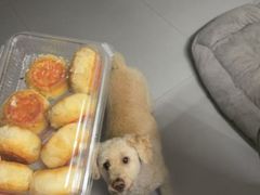 -泸溪河桃酥(亭湖宝龙广场店)