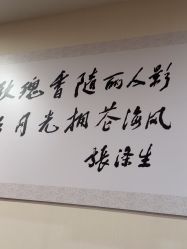 -上海玫瑰医疗美容医院
