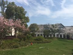 iphone_upload_pic-杭州西溪宾馆