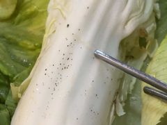 -本家韩国烤肉(财富大厦店)