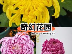 -南山植物园