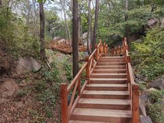 -大岭沟猕猴桃谷风景区