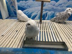 -成都浩海立方海洋公园